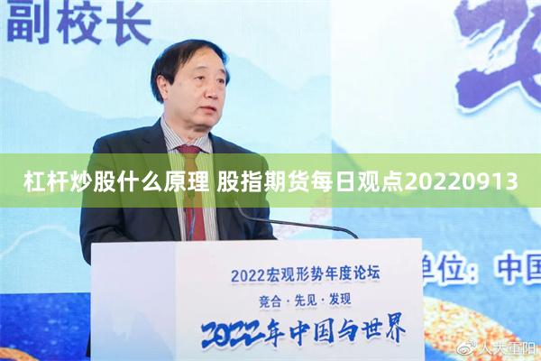 杠杆炒股什么原理 股指期货每日观点20220913