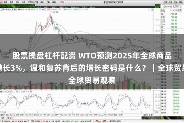 股票操盘杠杆配资 WTO预测2025年全球商品贸易增长3%，温和复苏背后的增长密码是什么？｜全球贸易观察