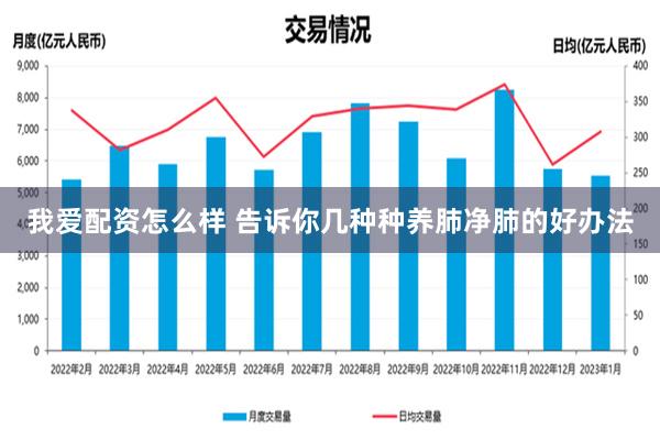 我爱配资怎么样 告诉你几种种养肺净肺的好办法