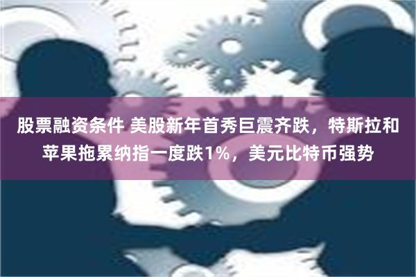 股票融资条件 美股新年首秀巨震齐跌，特斯拉和苹果拖累纳指一度跌1%，美元比特币强势