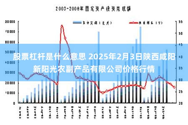 股票杠杆是什么意思 2025年2月3日陕西咸阳新阳光农副产品有限公司价格行情